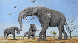 Deinotherium  Prehistoric Elephants [upl. by Hoy]