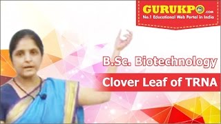 Clover Leaf Model of tRNA lecture BSc Biotechnology by Priyanka Khan Biyani Group of Colleges [upl. by Ailahs]