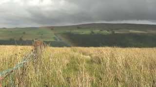 Hiking England Pennine Way  Part 16 Alston to Lambley [upl. by Aihsik]