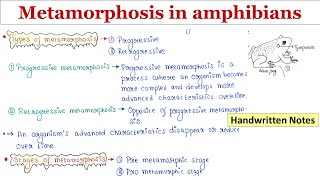 Metamorphosis  Hormonal control  Stages  Progressive and Retrogressive  Handwritten notes [upl. by Louisa901]