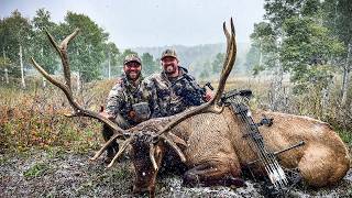 Archery Elk Hunt In The Utah Mountains  Deer Season 24 [upl. by Iruahs37]