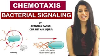 Chemotaxis Bacterial SignalingCell SignalingMicrobiology [upl. by Desdamona]