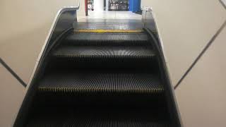 Noisy Down Escalator  Macys  Westshore Mall  Tampa FL [upl. by Yahsel]