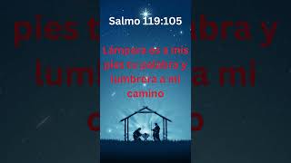 Salmo 119105 Lámpara es a mis pies tu palabra y lumbrera a mi camino fe oraciones dios [upl. by Gilchrist434]