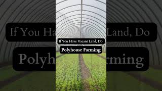 Polyhouse Farming sustainableagriculture [upl. by Nah57]