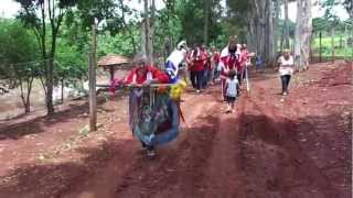 Folia de Reis Irmãos Adolfo no Sitio em Cajuru [upl. by Kreager232]