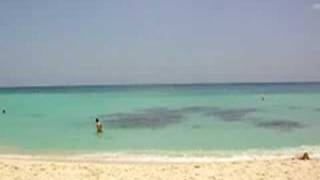 Plage Hotel Viva Dominicus Palace Bayahibe [upl. by Racso]