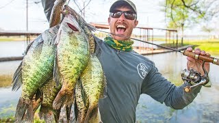 BIG CRAPPIE SPAWNING in Shallow Brush CATCH amp COOK [upl. by Donoghue]