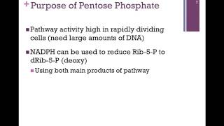 098Pentose Phosphate Pathway [upl. by Irtimd]