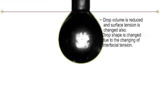 How to measure the surface tension of surfactant using pendant drop [upl. by Romola532]