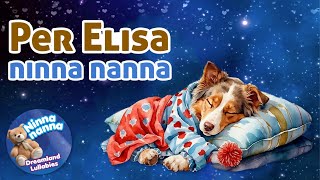 Per Elisa Ninna nanna loop NinnaNannaDreamlandLullabies [upl. by Atilef]