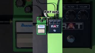 ProCo RAT vs Ibanez TS9 guitarpedals [upl. by Miltie]