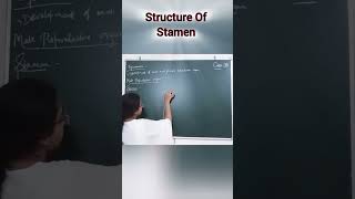 structure of stamen stame reproductioninplantfullchapter biologytextbook neet biologyclass [upl. by Geddes]