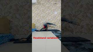 Headstand variations headstand variations balance fyp viralvideoyoutubeshorts minivlog radhe [upl. by Llenrag]