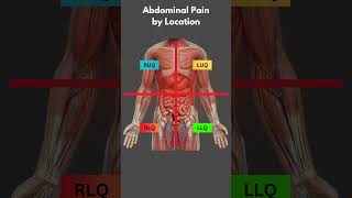 Understand Abdominal Pain in Under a Minute health [upl. by Esinned]