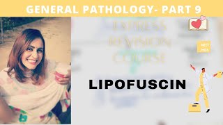 general pathology  lipofuscin [upl. by Yssej484]