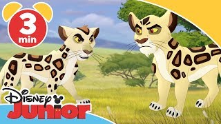 Lejonvakten  Leoparden Badili  Disney Junior Sverige [upl. by Polad]