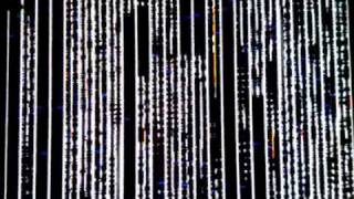 DECODE datascan by Ryoji Ikeda 20100109 [upl. by Lyred177]