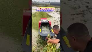 High Efficiency Grass Cutter livestock poultry feedmachine machine unit factory [upl. by Akemehs]