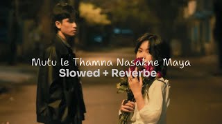 Mutu Le Thamna Nasakne Maya  Slowed amp Reverbe [upl. by Nosnehpets]