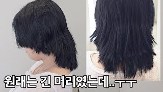 저는 웬디컷을 상상했는데 친구들이 계속 놀려요 ㅜㅜㅎㅎ [upl. by Eniladam573]