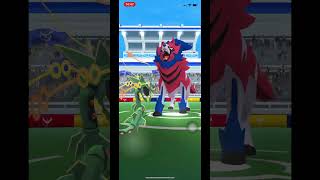 Zamazenta duo raid In Pokemon Go No weather boostIce FangCrunch [upl. by Kathlene]