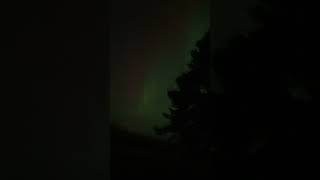 Nordern lights dere init eh minnesota [upl. by Peppie522]