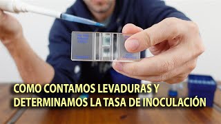 Conteo de levadura y determinación de la tasa de inoculación [upl. by Osnofla]