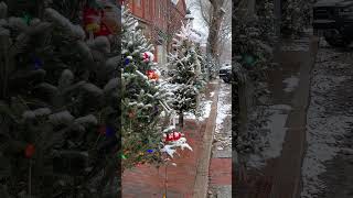 Nantucket Christmas Eve Snowfall [upl. by Herring]