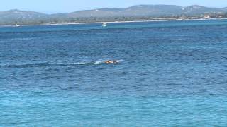 Zlarin marathon 2014  long distance swimming butterfly [upl. by Mikiso]