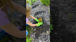 Family Fun Kids Go Crazy Planting Beautiful Annual amp Perennial Flowers [upl. by Kcuhc]