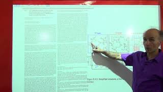 Razavi Electronics2 Lec14 SmallSignal Analysis of MOS Differential Pair [upl. by Nibbor]