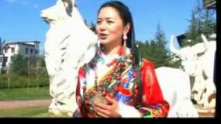 Tibetan Song Dahog gi Rolyang Yangchen Lhamo [upl. by Nibram43]