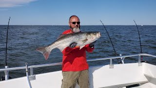 Rockfish in Maryland  Fishing Chesapeake Bay Charter Near Annapolis MD [upl. by Llenart873]