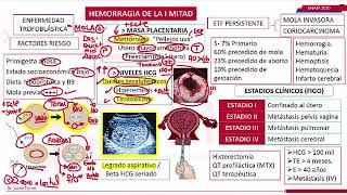 Causas de Hemorragia en el Embarazo [upl. by Dinin425]