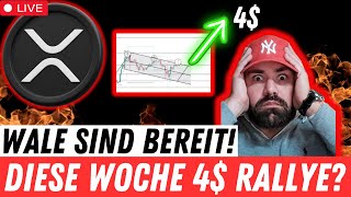 LIVE🔴 XRP WALE SIND BEREIT KOMMT JETZT DIE 4 ÜBERRASCHUNG RIPPLE  BITCOIN NEWS [upl. by Ateiram]