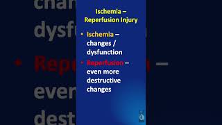 Shorts  117 Ischemia Reperfusion Injury  What is it and what tissues are affected [upl. by Nanette]