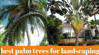 some best palm trees for landscaping [upl. by Nhguavoj372]