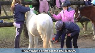 SPECIALE BIMBI A CAVALLO A GORIZIA [upl. by Nomsed134]