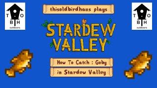 How to Catch the Goby  Stardew Valley Update 16 [upl. by Araas725]