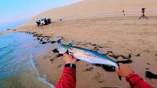 Shore JiggingShore CastingKingfish HuntingQatar [upl. by Assylem]