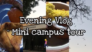 Mini campus tour of Banasthali Vidyapith  Evening Vlog 🍀 [upl. by Ahsienroc]