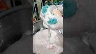 ASMR  Dish soap and carbolic  Sponge Squeezing [upl. by Natanoj]