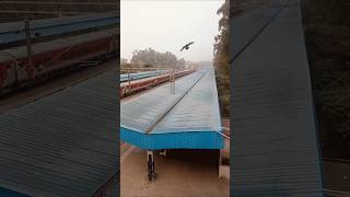 Pathankot railway station 🚉 short video viralvideovlog [upl. by Waldner]