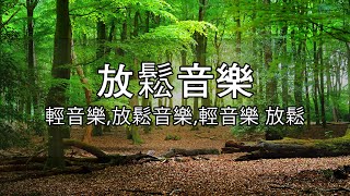 【100無廣告 輕音樂】治療音樂冥想舒緩按摩 深度睡眠深度睡眠 放鬆音樂 治療音樂舒壓按摩音樂 [upl. by Buehrer]