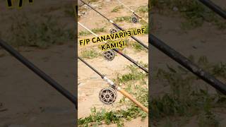 quotFiyatPerformans Canavarı 3 LRF Kamışıquot fishing carpfishing lrf youtubeshortsfishingtips [upl. by Karilynn]