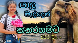 අනූ නවයෙන් අලියගෙන් බේරුනේ  Buttala katharagama road  Elephant attack  20 days tripWolfyVlogs [upl. by Adnoloy]