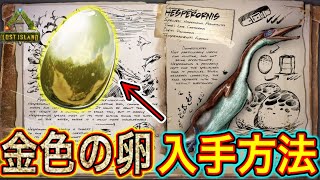 【ARK】 ヘスペロルニスの金色の卵を解説！！ 【ARKLost Island】 15 [upl. by Stutsman226]