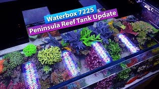 WaterBox 7225 Peninsula Reef Tank Update [upl. by Lateh]