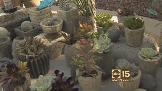 How to make faux concrete pots planters [upl. by Creight]